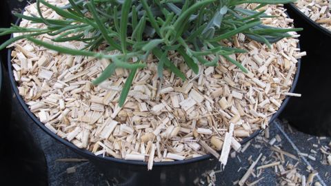 Les premiers supports de culture CE et les premiers biostimulants CE seront mis sur le marché le 16 juillet 2022. ©Valérie Vidril